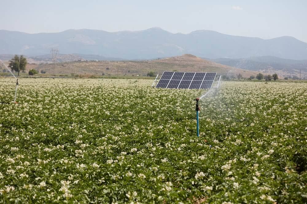 Farm Solar Irrigation